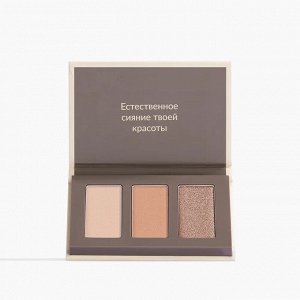 Трио палетка теней для век Pure Makeup, цвет Нюдовая