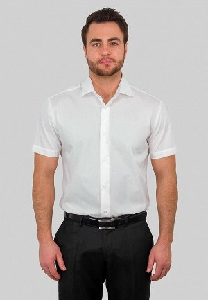 Сорочка мужская короткий рукав GREG 510/109/ALT/ZV
