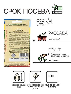 Семена Огурец "Муссон" F1, 5 шт
