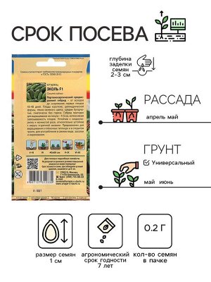 Семена Огурец "Эколь" F1, 0,2 г.