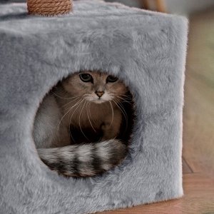 Домик для животных, с когтеточкой и полкой, джут, 32 х 32 х 64 см, серый