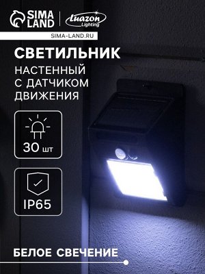 Садовый светильник, уличный, на солнечной батарее с датчиком движения, накладной, 30 LED, свечение белое