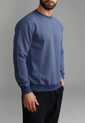 Джемпер мужской GREG G121-RH145-11 (т.голубой)