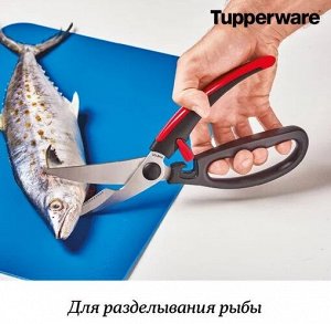 Ножницы для птицы, рыбы 1шт - Tupperware®.