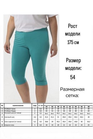 Бриджи Цвет:
бирюзовый
Состав:
100%ПЭ
Длина изделия:
64 см
Размер модели:
54
Рост модели:
175 см
Яркие бриджи из трикотажной однотонной ткани "масло", с комфортной высокой посадкой на талии. Верх с эл