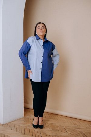 Рубашка Цвет:
синий
Состав:
95%Хлопок 5%Эластан
Длина изделия:
79 см
Размер модели:
54
Рост модели:
171 см
Рубашка прямого силуэта из сорочечной ткани двух контрастных цветов. Горловина оформлена воро