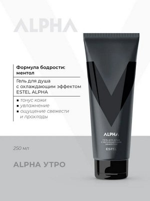 ESTEL PROFESSIONAL Подарочный набор профессиональной уходовой косметики для мужчин ALPHA сила: шампунь для волос + гель для душа + дезодорант для тела, 300+250+100 мл