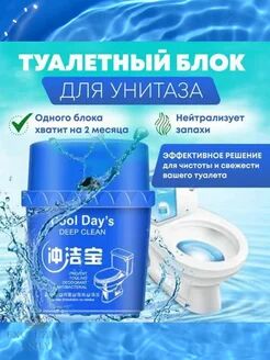 Чистящий туалетный блок для бачка унитаза "Cool day's"