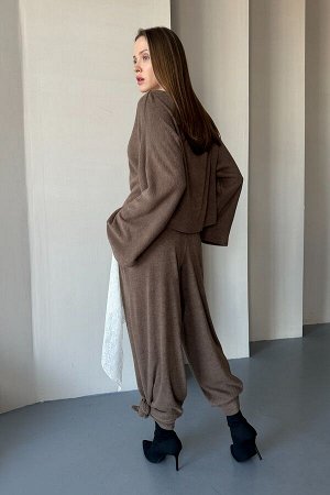 Брюки  WOOL042/04/Коричневый