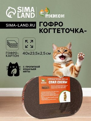 Гофрокогтеточка "Пижон" овальная "Спил сосны", с пропиткой, 40 х 23,5 х 2,5 см