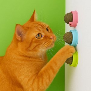 Кошачья мята в шарике, на клеевой основе, 1 шт., 4,5 х 4,5 см., цвет в ассортименте