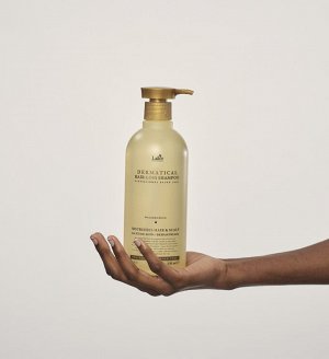 Безсульфатный шампунь против выпадения волос - LADOR DERMATICAL HAIR LOSS SHAMPOO