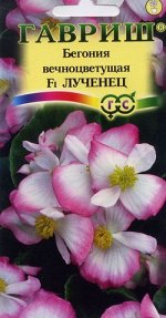 Бегония Лученец F1 вечноцв. гранул. 5 шт. пробирка
