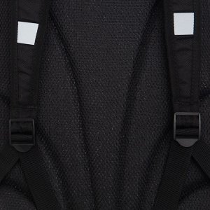 Рюкзак школьный GRIZZLY с карманом для ноутбука 13", жесткой спинкой, двумя отделениями, для девочки