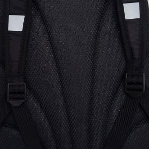 Рюкзак школьный GRIZZLY с карманом для ноутбука 13", жесткой спинкой, двумя отделениями, для девочки