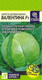Капуста Белокочанная Валентина F1 0,1г