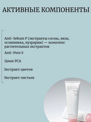 Celimax Увлажняющий крем против жирного блеска Oil Control Moisturizing Cream