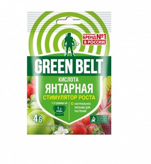Янтарная кислота GREEN BELT 4 гр (1/100)
