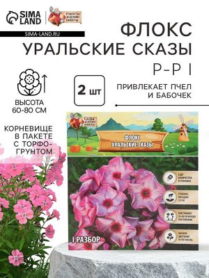 Флокс "Уральские сказы" р-р I, 2 шт, Весна 2025