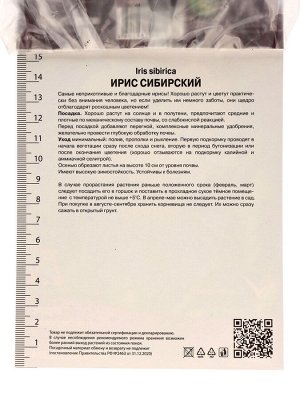 Ирис сибирский Магнетизм, р-р I, 1 шт, Весна 2025