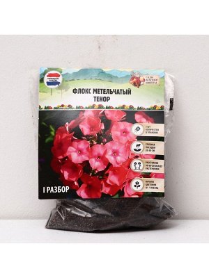 Флокс метельчатый «Тенор», корневище в пакете с торфогрунтом, р-р I, 2 шт.