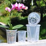 Уход за цветами! Всё для дома, красоты и здоровья