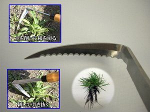 Японский  зубчатый серп для сорняков  Hounen Toyotomi H-434-1