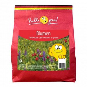 Семена Газон, Blumen, 1 кг, мешок, ГазонCity