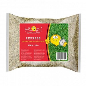 Семена Газон, Express, 300 г, пакет, ГазонCity