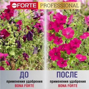 Удобрение для петуний и бегоний, пролонгир, с биодоступн кремнием, ведро, гранулы, 1 л, Bona Forte