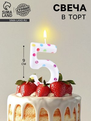 Свеча в торт на день рождения «Цифра 5 », 9 см