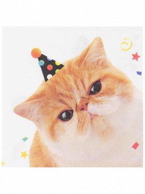 Салфетка 25 х25 см 12 шт Котики фотографичные/G