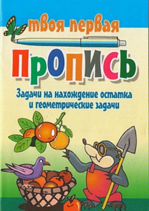 ТПП.УПР.ЗАДАЧИ НА НАХОЖДЕНИЕ ОСТАТКА И ГЕОМЕТРИЧЕСКИЕ ЗАДАЧИ (Пушков А.Е.) 16стр., 215х145х2мм, Мягкая обложка