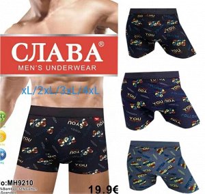 Трусы мужские "Слава" (бамбук) №МН9210