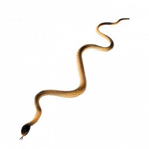 Змея «Яркая змейка», МИКС