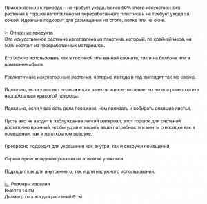 FEJKA, Искусственное комнатное растение в горшке, Монстера, внутри/снаружи, 6 см