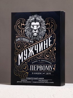 Подарочный набор «Настоящему мужчине», гель для душа и шампунь для волос, 2x250 мл, HARD LINE