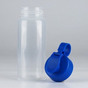 Бутылка для воды пластиковая «Вид 5», 450 мл