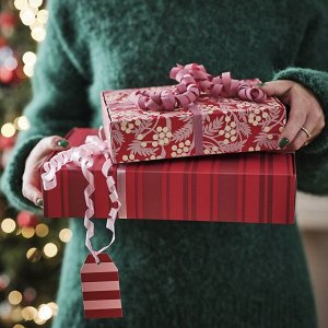 ВИНТЕРФИНТ, подарочная коробка, набор из 2 штук, смешанные узоры красного цвета