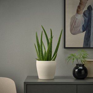 Горшок для растений PERSILLADE, светло-бежевый, 12 см