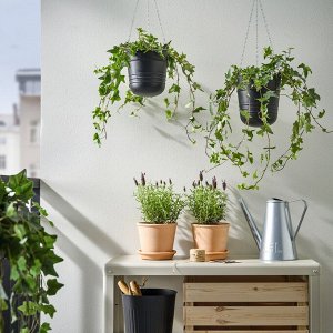 PÄRLRÖNN, подвесное кашпо, внутри /напольное/черное, 15 см
