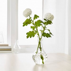 VILJESTARK, Ваза, прозрачное стекло, 17 см
