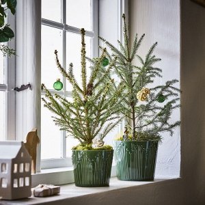 ВИНТЕРФИНТ, горшок для растений, зеленый, 12 см