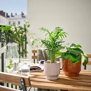 HONUNGSPALM, горшок для растений, внутренний / уличный / бежевый, 9 см