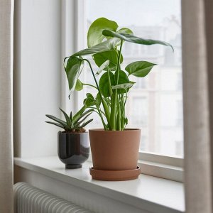 KLARBR, горшок для растений с блюдцем, коричневый, 12 см
