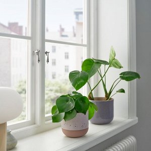 BUSKKAPRIFOL, горшок для растений, внутренний / уличный /бежевый, 12 см