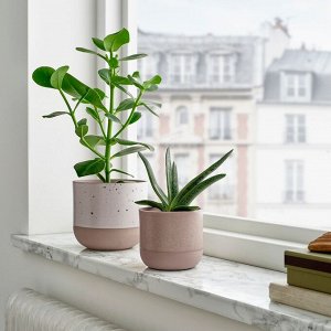 BUSKKAPRIFOL, горшок для растений, внутренний / уличный /серый, 9 см
