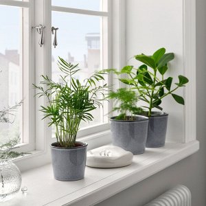 FJ?RILSBUSKE, горшок для растений, внутренний / уличный /серый, 12 см