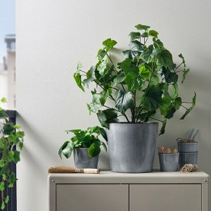 FJ?RILSBUSKE, горшок для растений, внутренний / уличный /серый, 12 см