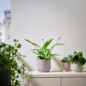 HONUNGSPALM, горшок для растений, внутренний / уличный / серый / бежевый, 15 см